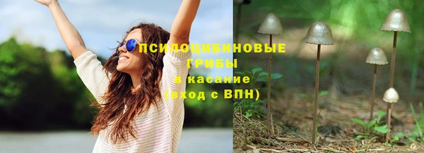 прущие крисы Медвежьегорск