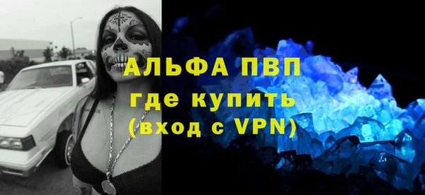 прущие крисы Медвежьегорск