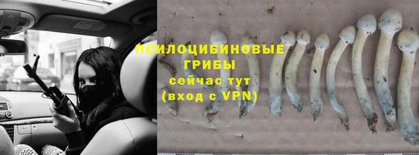 ешки Медногорск