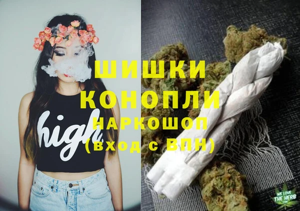 прущие крисы Медвежьегорск