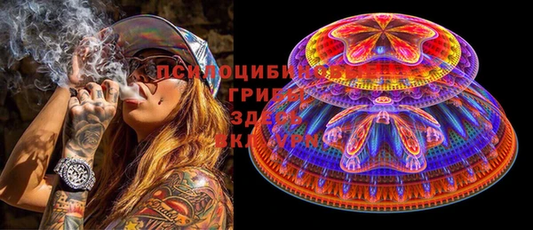 ешки Медногорск
