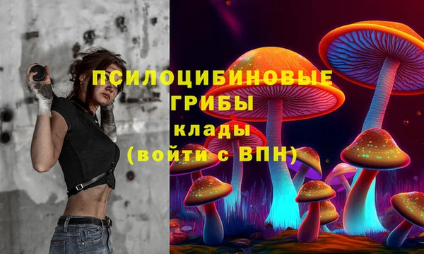 меф Мегион
