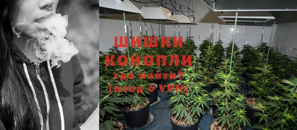 прущие крисы Медвежьегорск