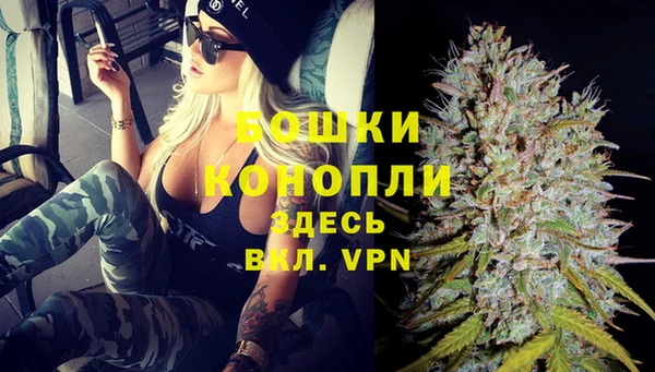 прущие крисы Медвежьегорск