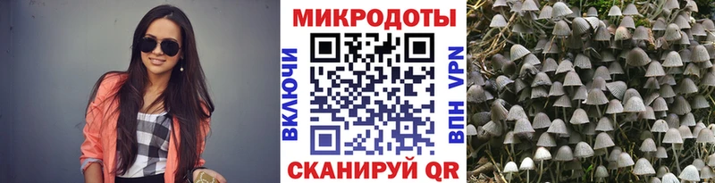 Галлюциногенные грибы Psilocybine cubensis  Пойковский 