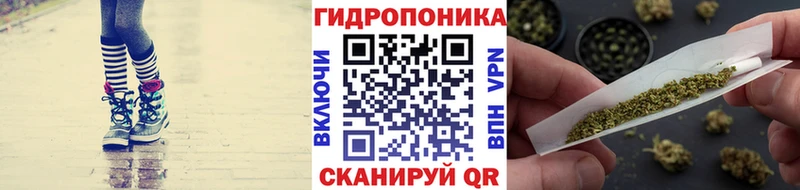 Канабис индика Пойковский